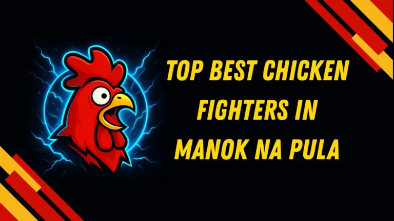 Top best chicken fighters in Manok na Pula
